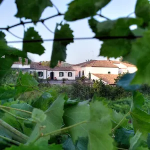 Сasa de vacaciones Etna, Piedimonte Etneo